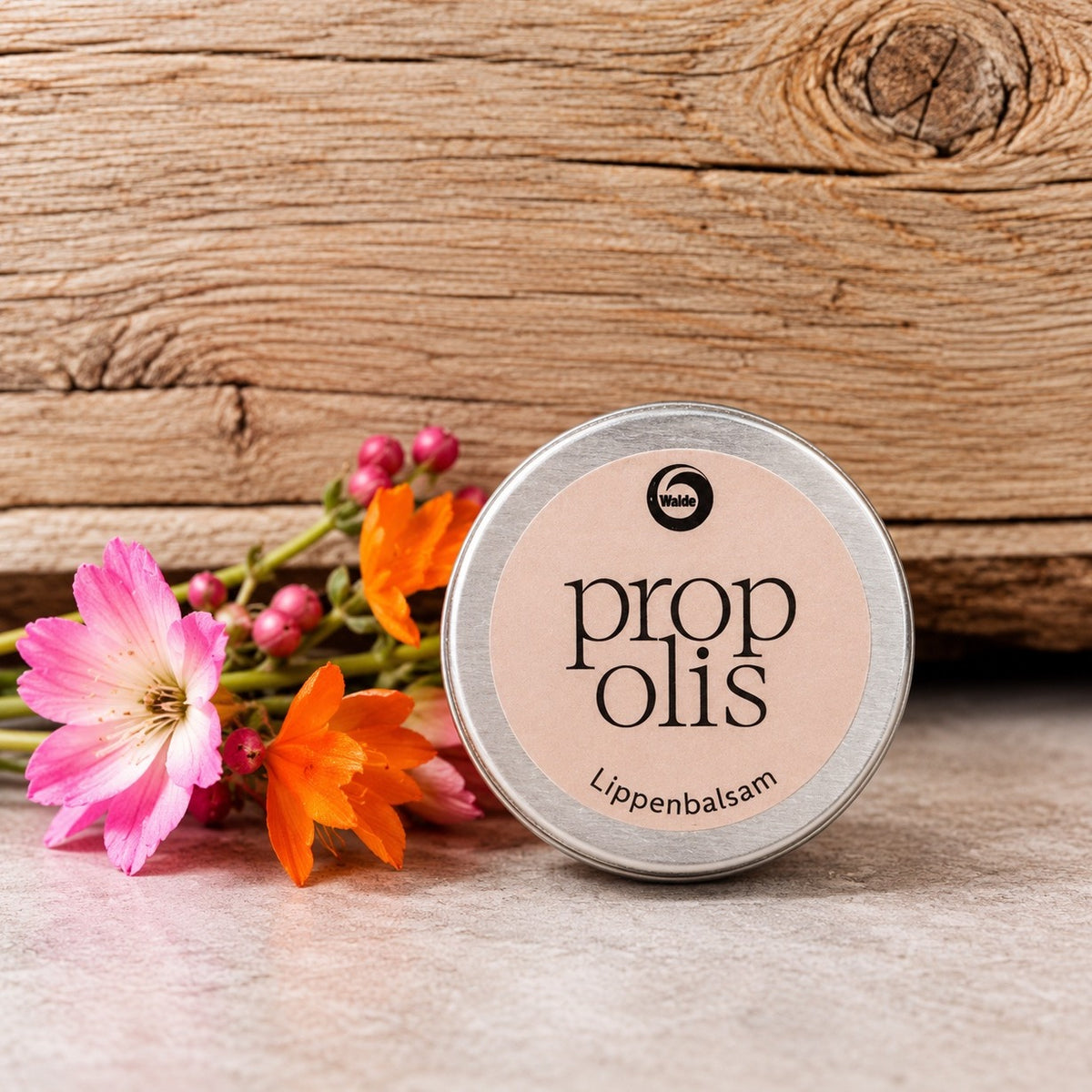 Lippenbalsam Propolis 10ml